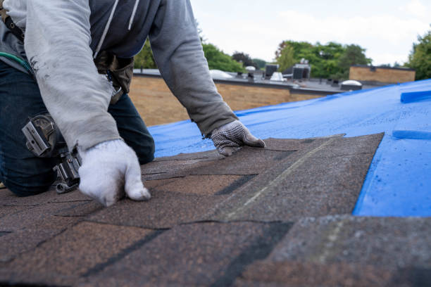 Best Roofing Contractor Near Me  in Lawrence, KS
